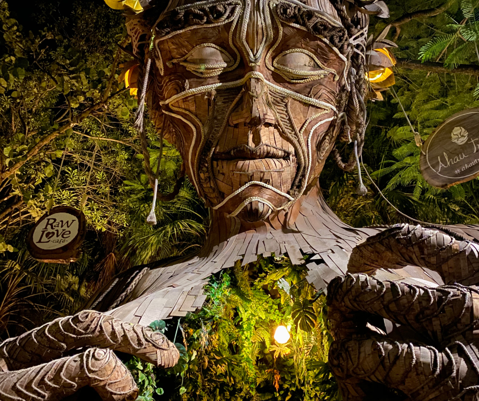 Soulful Experiences in Tulum